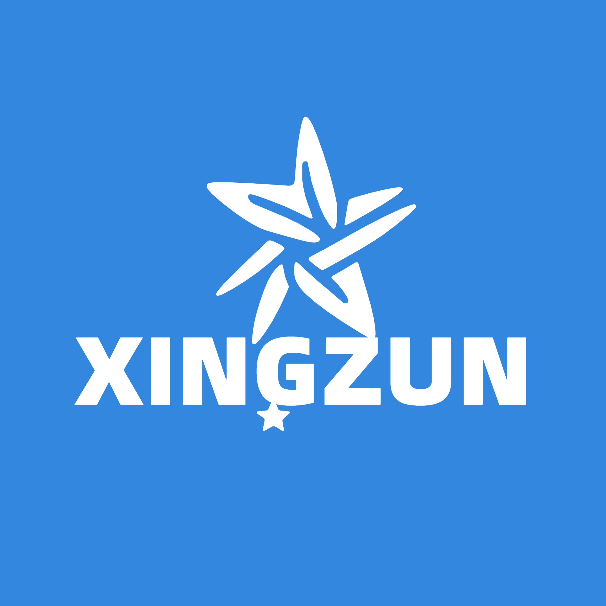 XINGZUN旗舰店