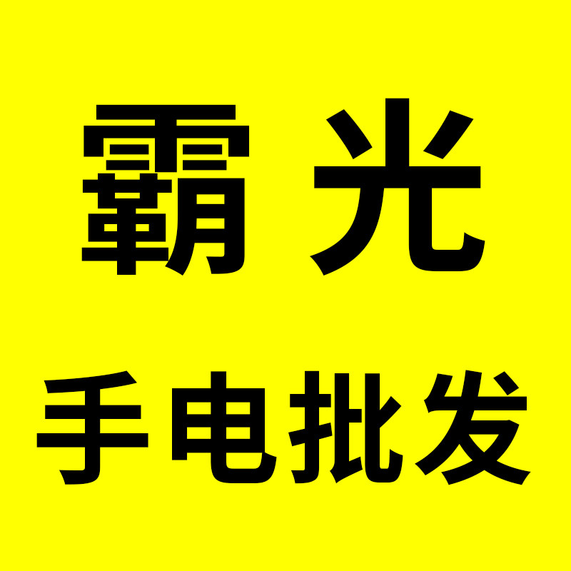 palight霸光手电批发的LOGO