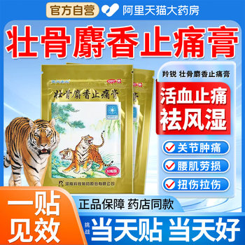 Zhuanggu musk pain relief ointment 10 patches/bag
