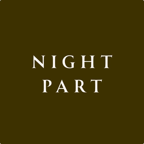 NIGHTPART晚集旗舰店的LOGO