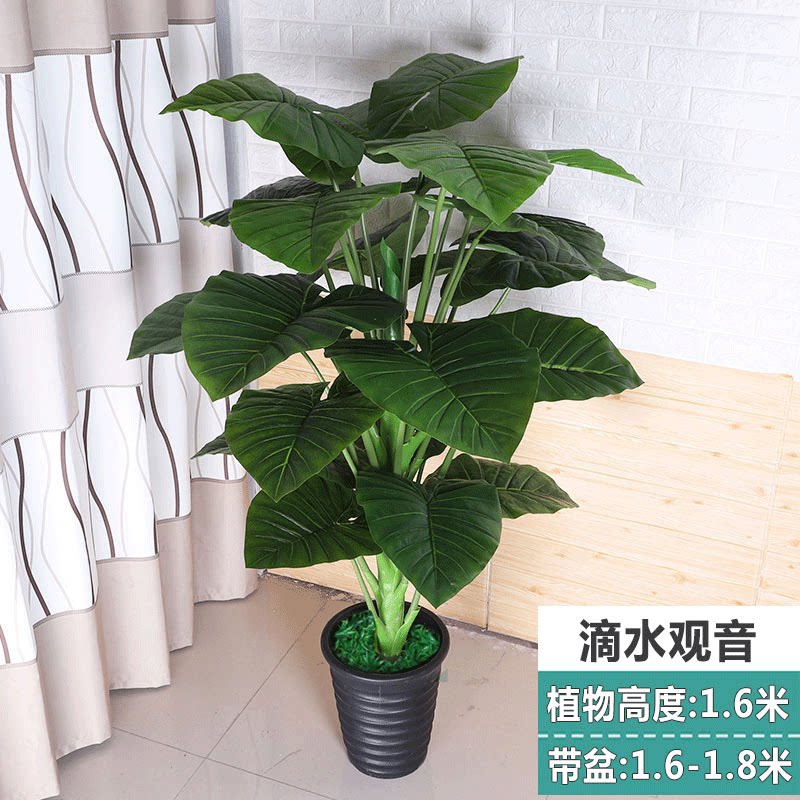Fake Tree Emulation Plant Horseshoe Lotus Big Tree Pile Bonsai Home Ground Simulation Fake Flower Living Room Decoration Poly Gold Home Decoration