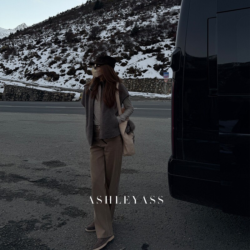 Ashleyass Brown Pants with Gray Tones Designer Blended Straight-Leg Denim Magic Pants