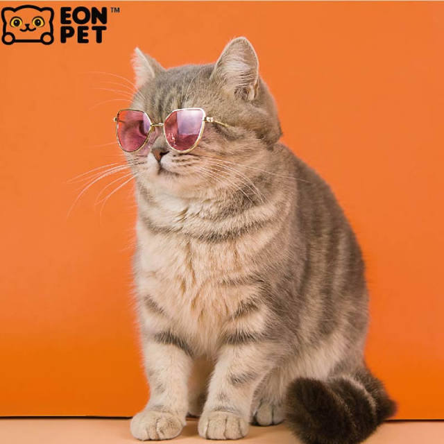 Cute Canteen Eonpet Pet Cat Glasses Triangular Sunglasses Retro Frame Funny Cute Creative Photo Props