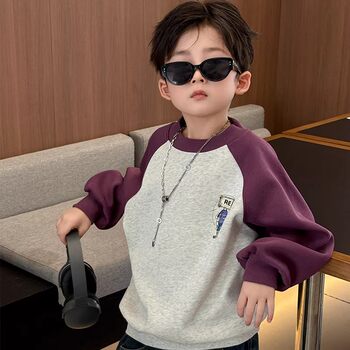 German Razt Brand Store Boys' Spring and Autumn Sports Sweatshirt 2026 New Style Korean Style Cool Toddler