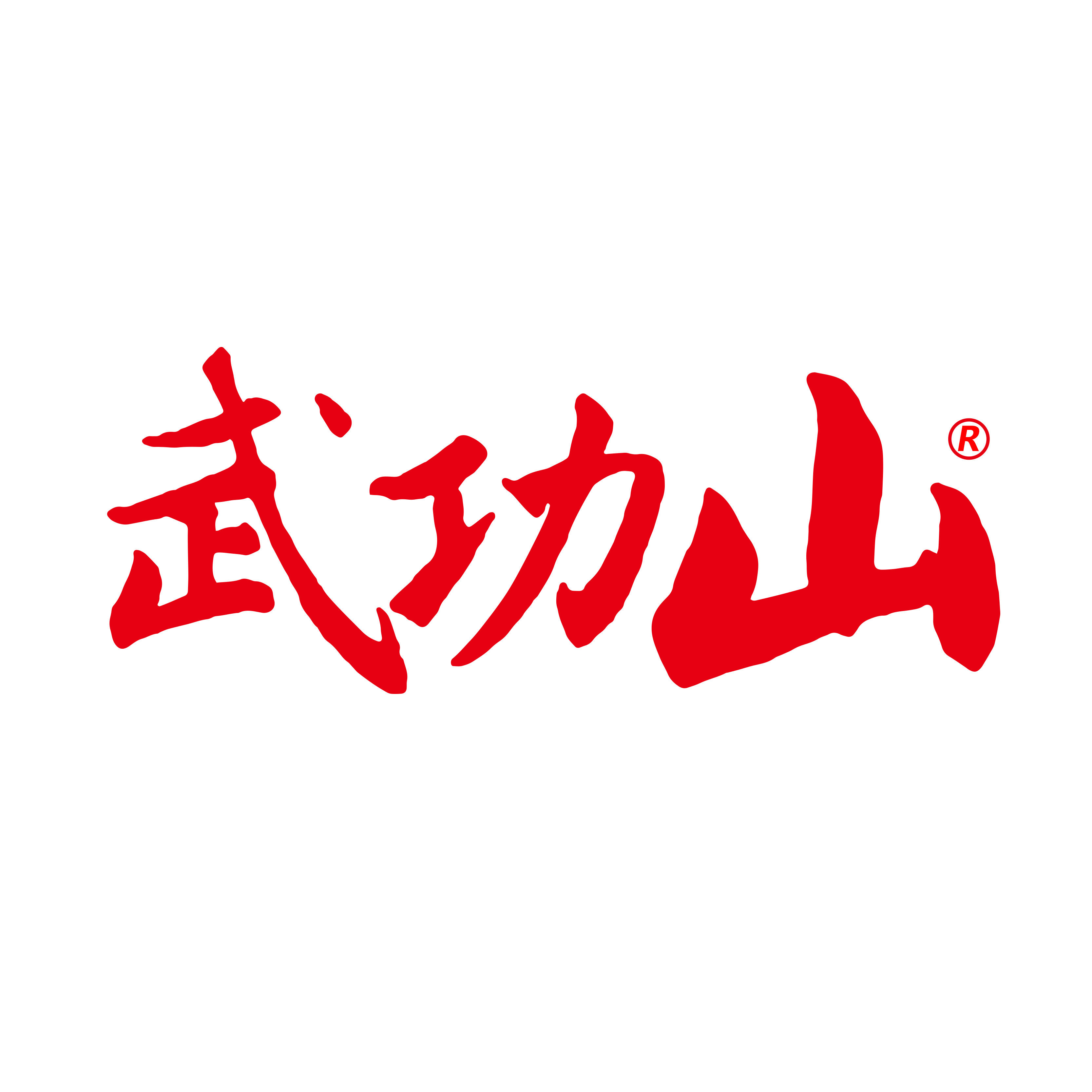 武功山食品旗舰店的LOGO