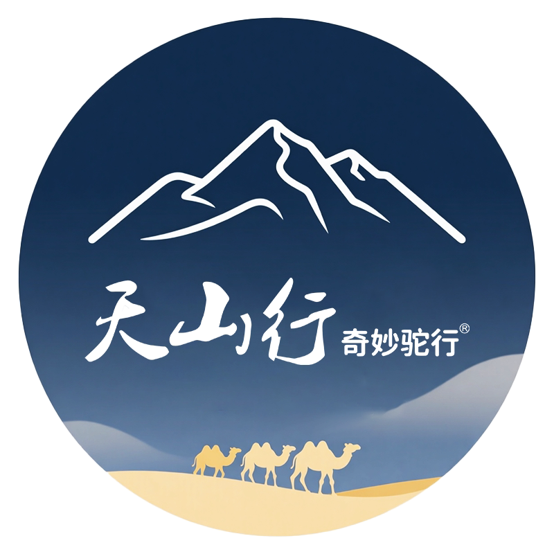 天山行旗舰店