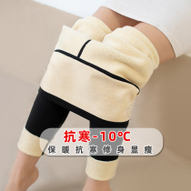 Leggings Womens autumn and winter velvet shark pants wear Barbie pants thickened flight pants High waist plus size fat mm belly