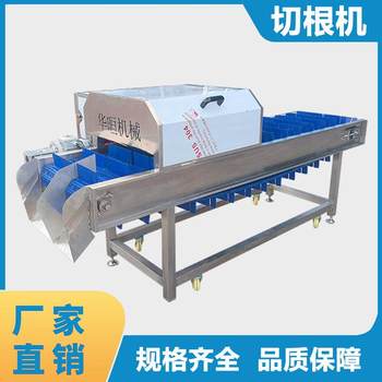 Large commercial root cutter, root vegetable cutting and root removal machine, green onion and celery non-destructive root cutting stainless steel equipment