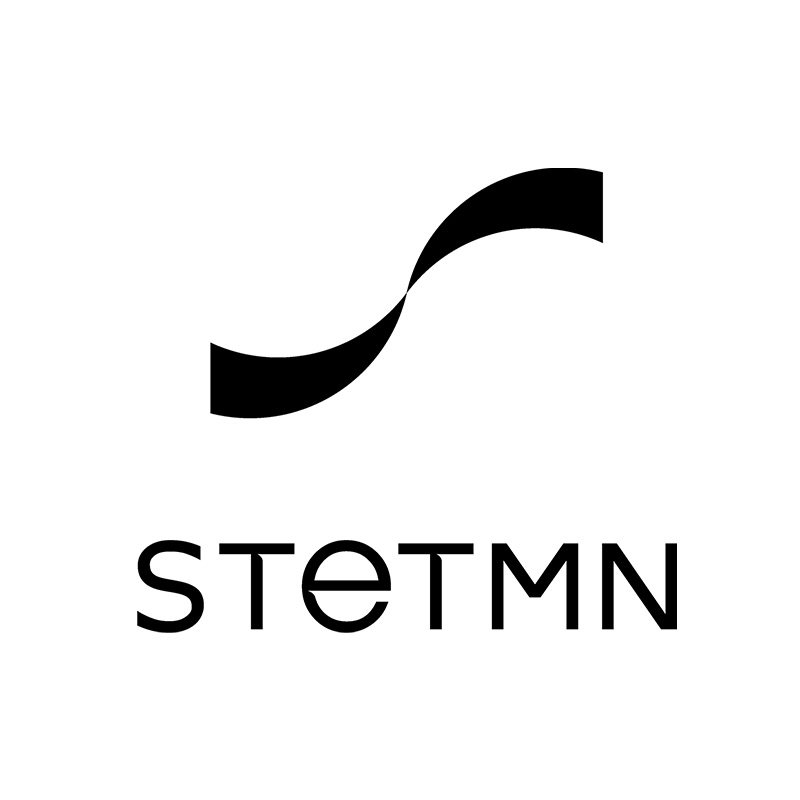 STETMN什迪旗舰店的LOGO