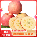 当季新鲜富士冰糖心苹果