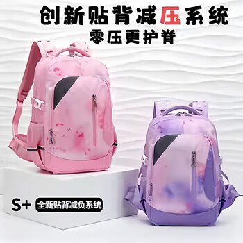 Burden-reducing spine-protecting schoolbag for middle and high school students with large capacity