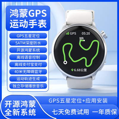 [Система Hongmeng с открытым исходным кодом] Профессиональные спортивные GPS-часы с пятизвездочным позиционированием, Bluetooth-тест тела, темп бега