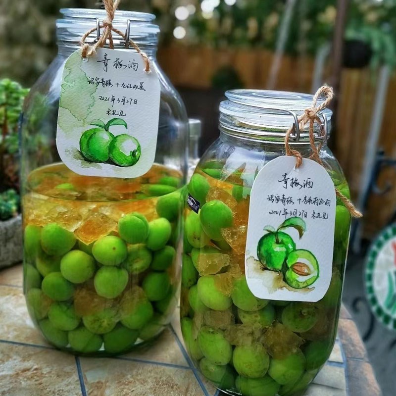 Glass wine bottle, household green plum and bayberry fruit wine, special buckle sealed jar 10 catties with faucet, high-end wine jar