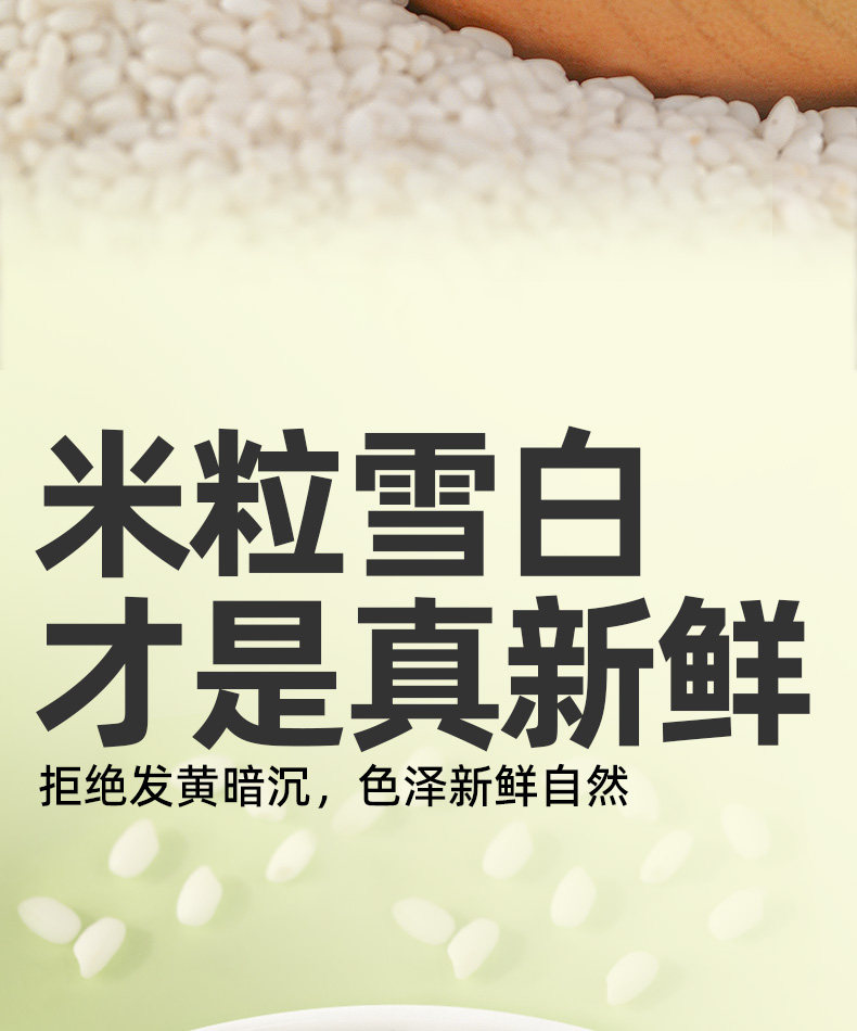 安享好物 安享A级糯米-九月的诗有机糯米 国标
