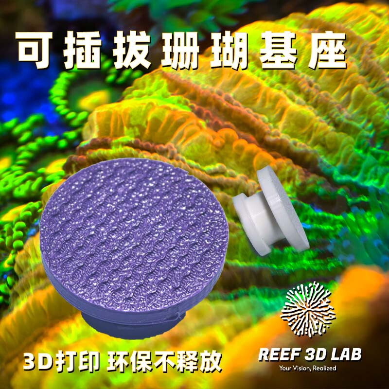 Coral Removable Universal Base, Marine Tank Sps/Lps Branch Propagation Base, Universal Adjustable Movable Base