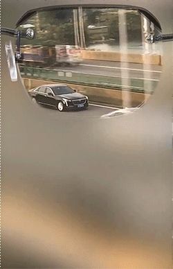 10008.gif