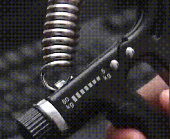 P_016.gif