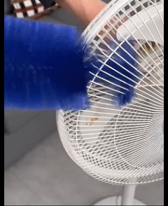 10023.gif