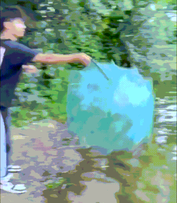 10002.gif