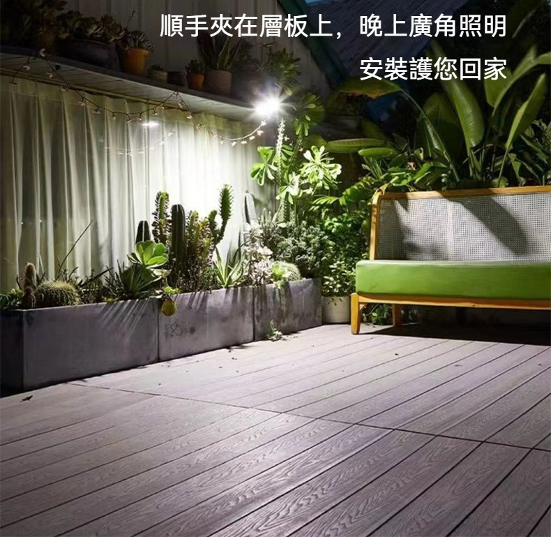 10009.jpg