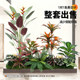 Simulated Green Plants, Large-Scale Landscaping Combinations, Indoor and Outdoor Balcony Window Displays, Fake Plant Decorations, Simulated Ornaments, Trees
