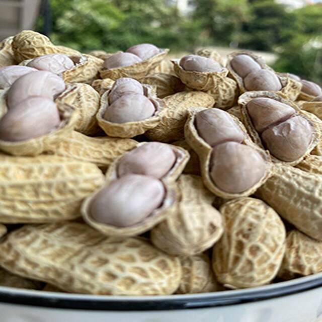 Fujian Longyan Daqi Wet-Roasted Peanuts, Salty and Crispy, Original Flavor, with Shells, Boiled and Sun-Dried, 1.0kg Pieces, Bulk, West Fujian Specialty,