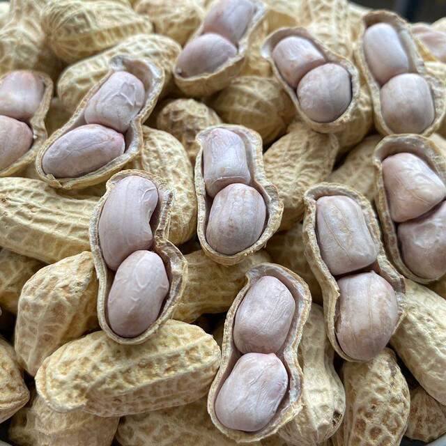 Fujian Longyan Daqi Wet-Roasted Peanuts, Salty and Crispy, Original Flavor, with Shells, Boiled and Sun-Dried, 1.0kg Pieces, Bulk, West Fujian Specialty,