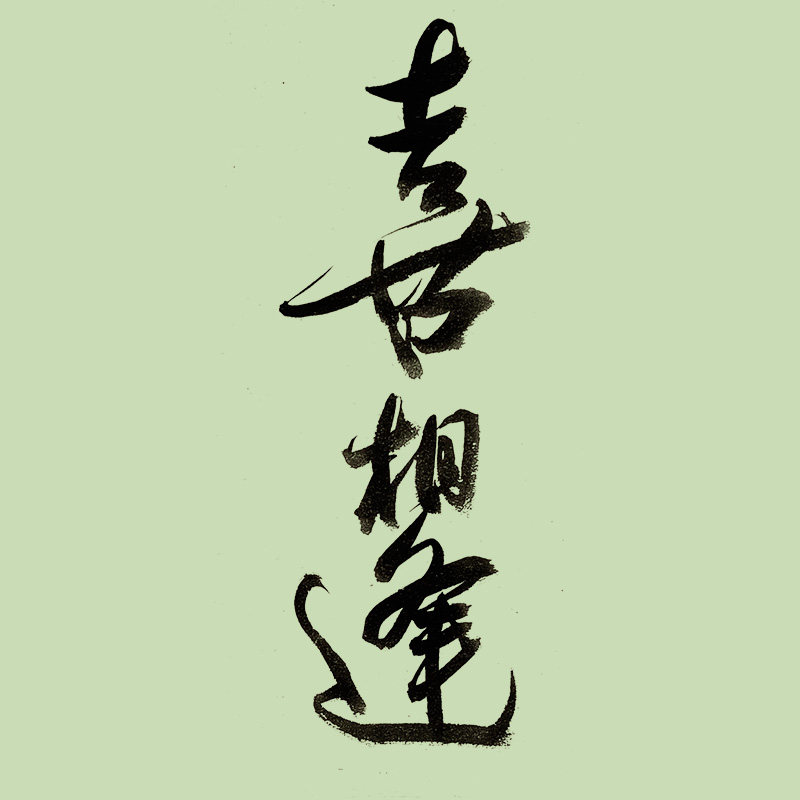 喜相逢乐器旗舰店