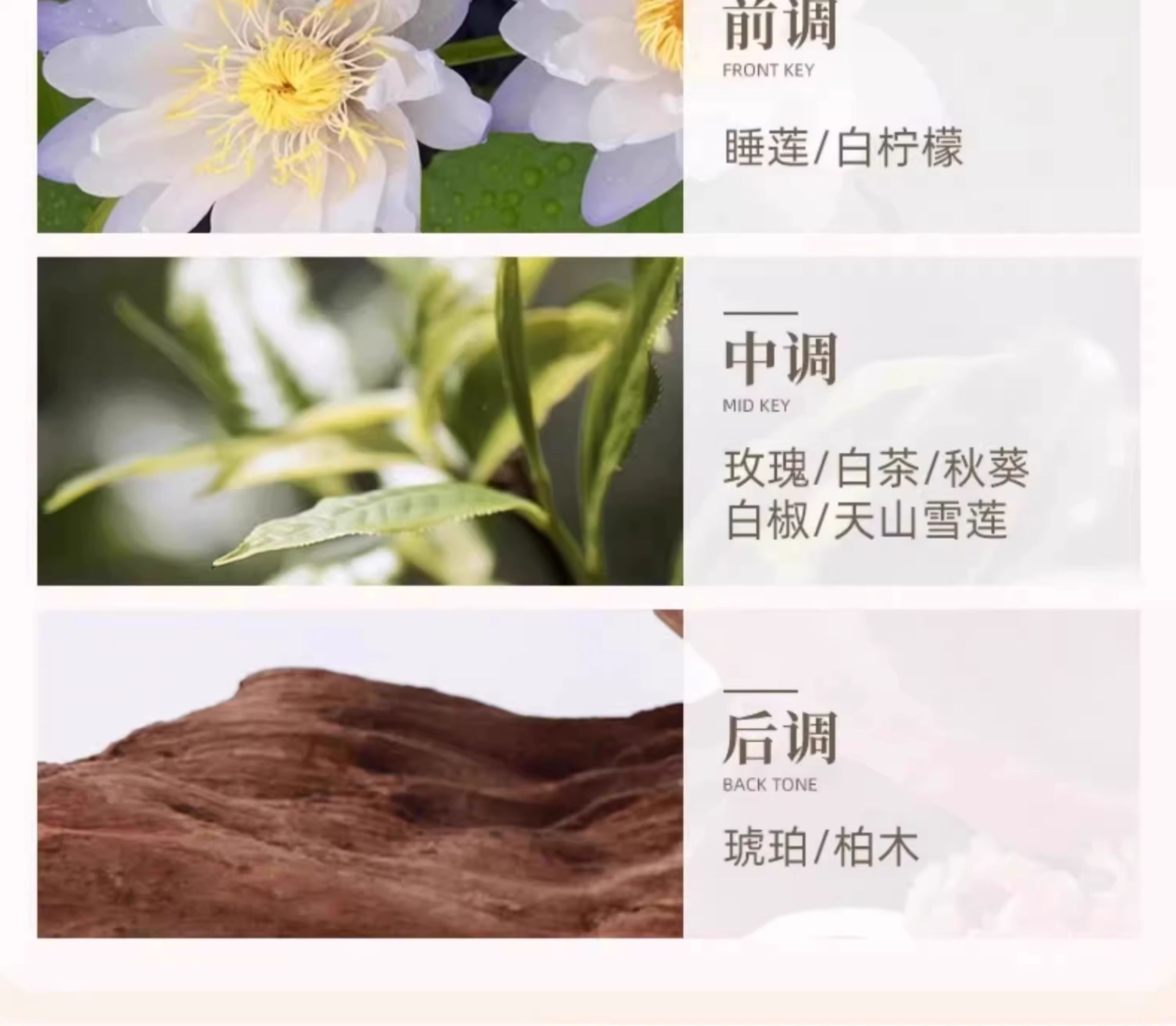 Car Fragrance 2026 New Model Long-Lasting Fragrance High-End Car-Specific Perfume for Interior Use Pinduoduo Douyin Dropshipping
