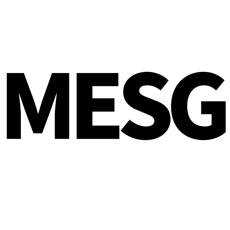 MESG弗迪斯专卖店的LOGO