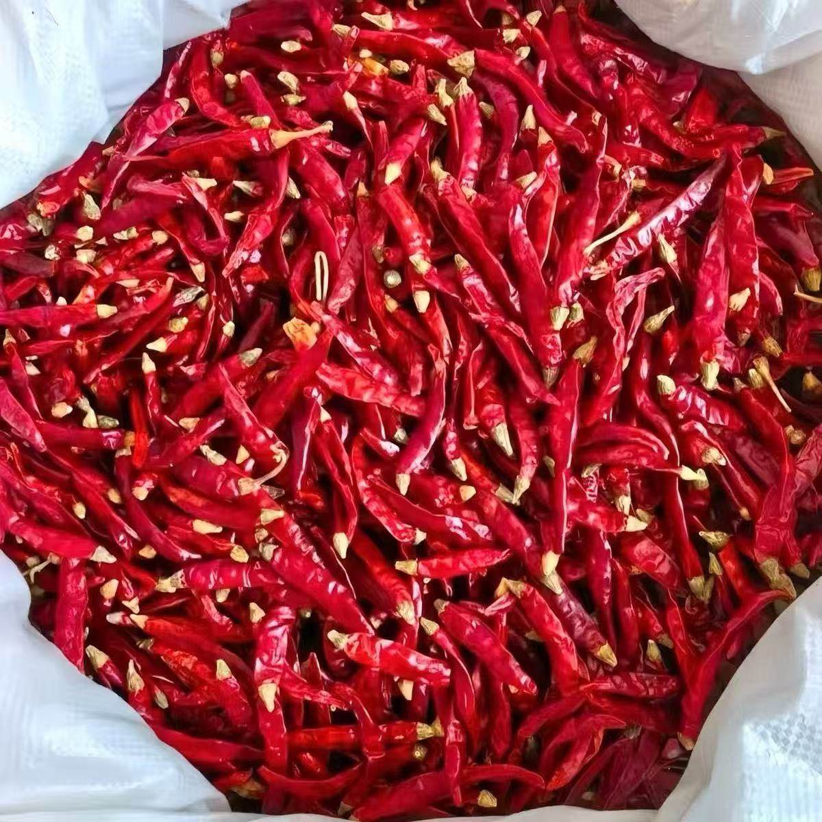 农家自晒特产干辣椒500g