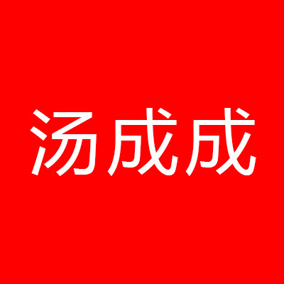 汤成成品牌企业店的LOGO