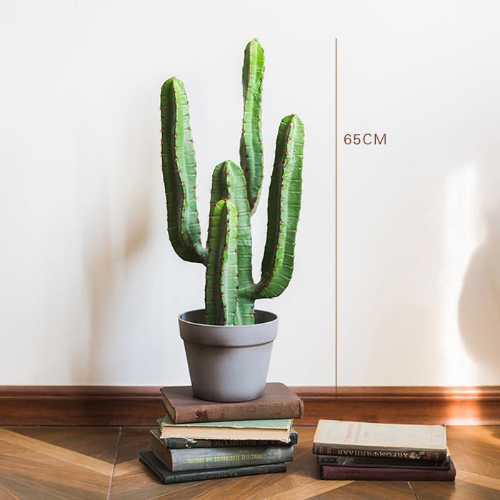 Large Cactus Bonsai Column Cactus Mexican Column Cactus Decorative Green Plant Ornament Floor-Standing Gift Large Cactus Bonsai Column Cactus Mexican Column Cactus Decorative Green Plant Ornament Floor-Standing Gift
