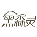 黑森灵旗舰店的LOGO