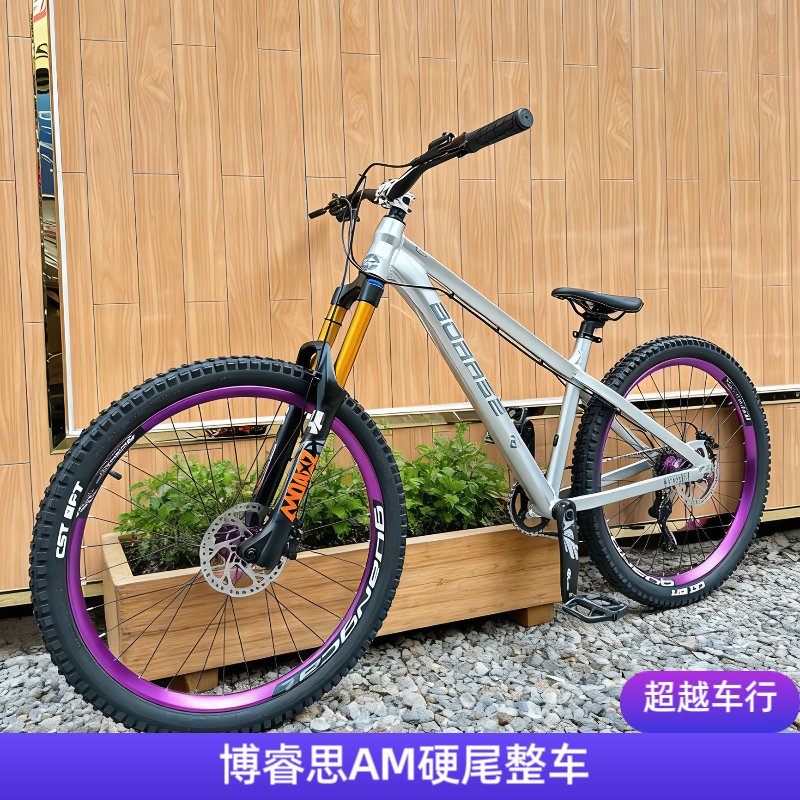 Boarse Mountain Bike Hardtail Am Complete Bike Dirt Bike Boarse DIY Assembly Bicycle