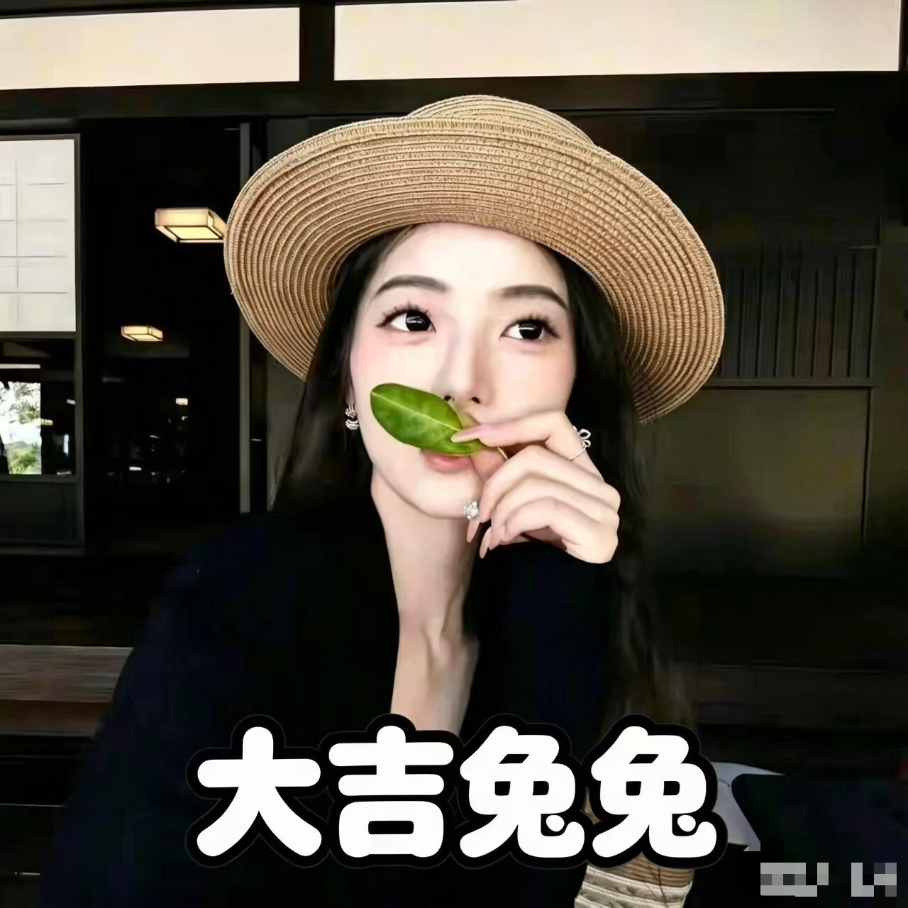大吉兔兔网游