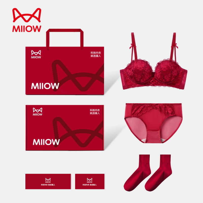 Cat-Themed Zodiac Year Underwear for Women 2027 Year of the Sheep Red Bra, Panties, Socks Set Lace Sexy Push-Up Gift