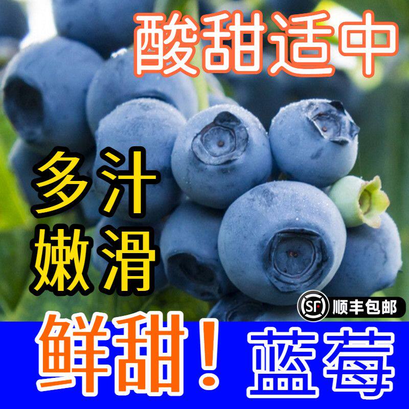 四川山地新鲜蓝莓如何才能挑到最佳口感？