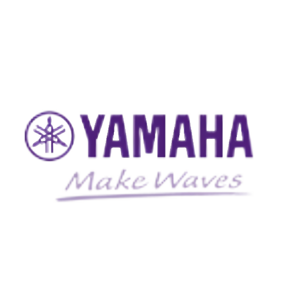引声影音专营店的LOGO