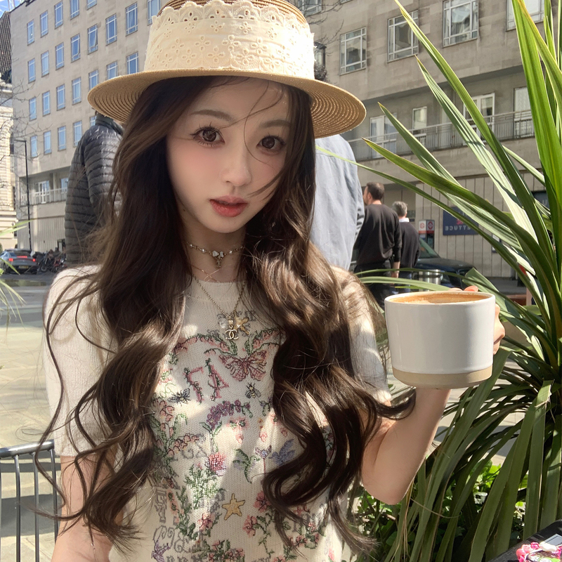 Your Lazy Llan【Dio* Wishing Girl】Heavy-Duty Vintage Embroidered Floral Merino Wool Sweater for Women Your Lazy Llan【Dio* Wishing Girl】Heavy-Duty Vintage Embroidered Floral Merino Wool Sweater for Women