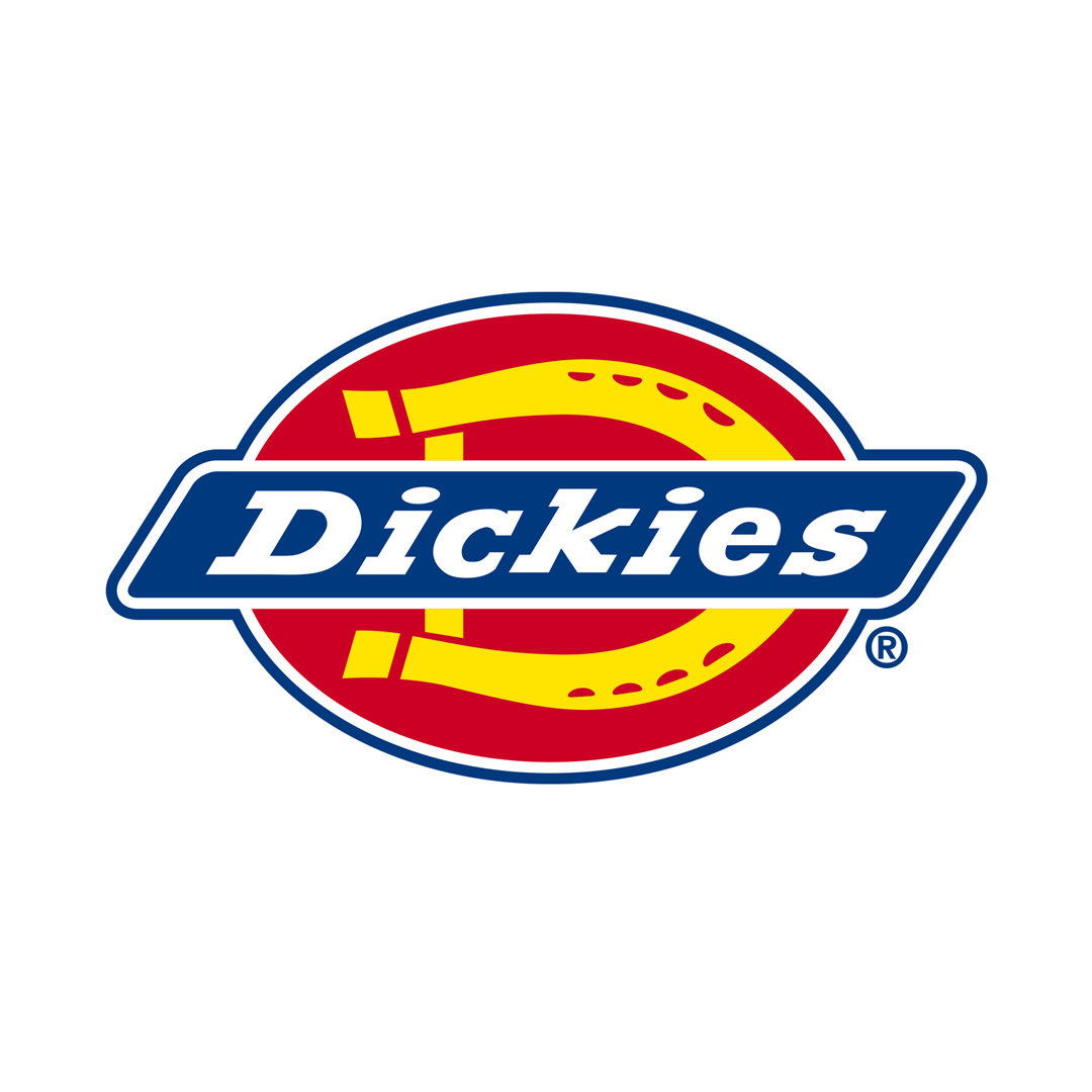 Dickies功能旗舰店