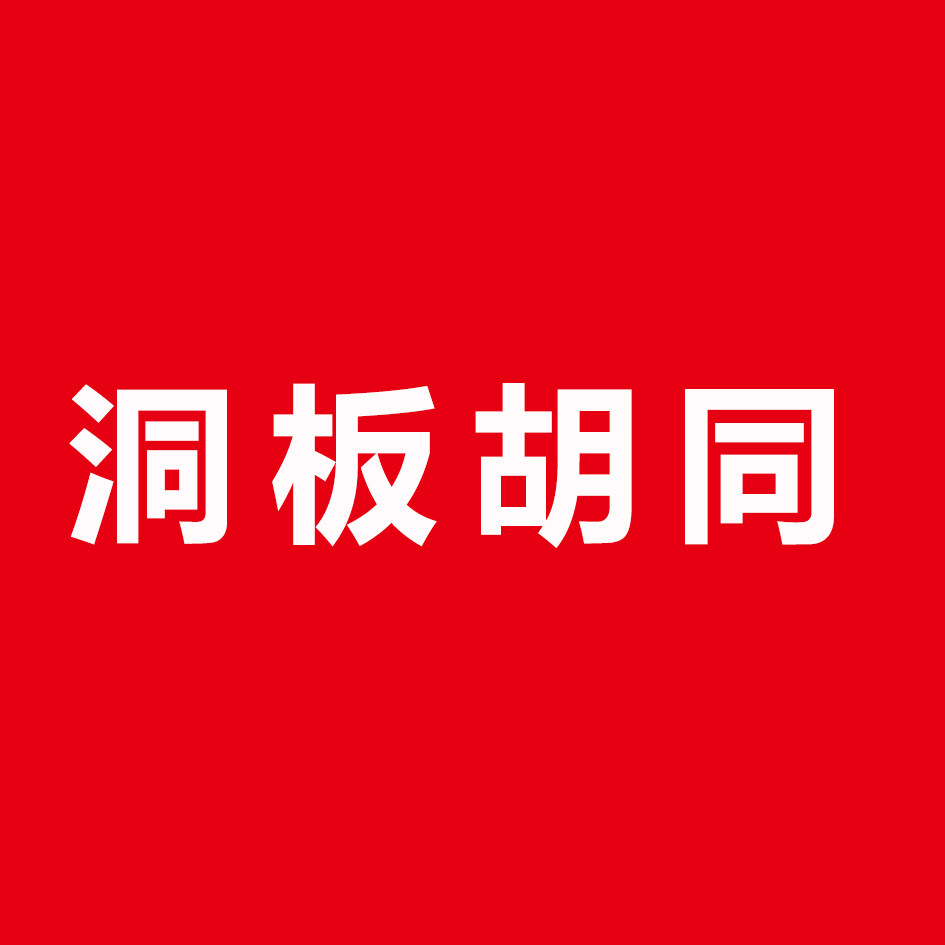 洞板胡同食品旗舰店的LOGO