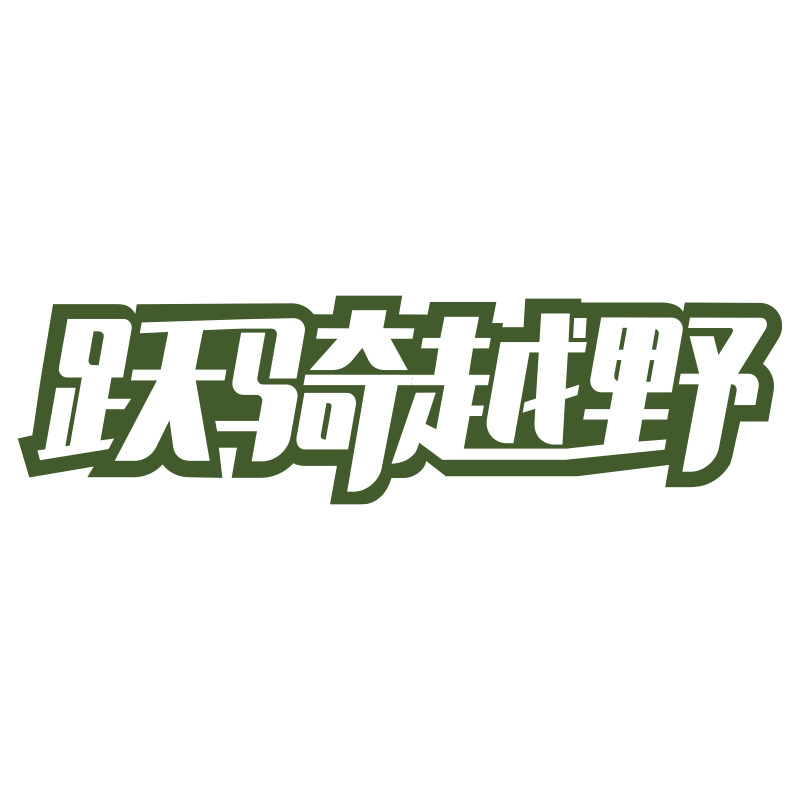 跃骑越野摩托专营店