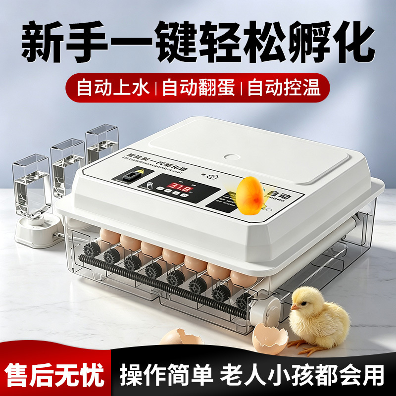 Egg Incubator Water Bed Chick Quail Incubator Small Machine Household Fully Automatic Intelligent Incubation Box Hatching Machine Egg Incubator Water Bed Chick Quail Incubator Small Machine Household Fully Automatic Intelligent Incubation Box Hatching Machine