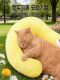 Pet Question Mark Pillow, Neck Support Pillow, Universal for All Seasons, Cat Comfort Sleeping Pillow, Small Dog Plush Sleeping Mat