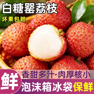 【3斤】新鲜白糖罂荔枝