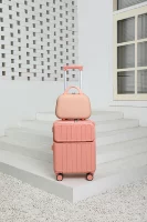 Вишневый порошок+косметическая сумка