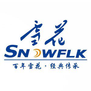 雪花电器旗舰店