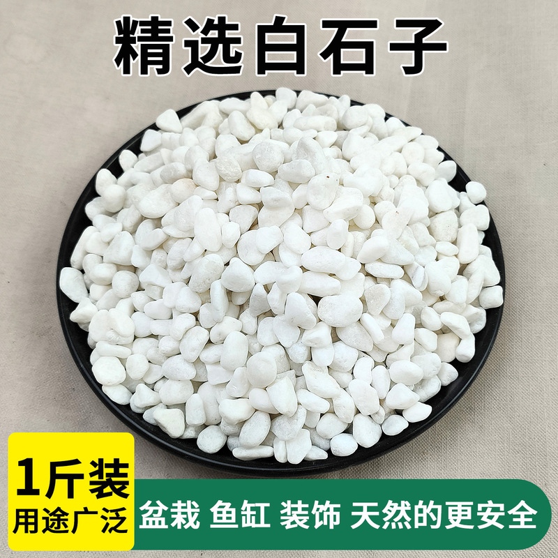 Natural Pebbles, Raindrop Stones, Small White Stones for Succulent Plant Beds, Flower Pots, and Hydroponics