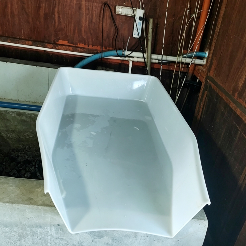 Large Plastic Shrimp Sorting Tray for Manual Seafood Selection, Suitable for Market Stalls Large Plastic Shrimp Sorting Tray for Manual Seafood Selection, Suitable for Market Stalls